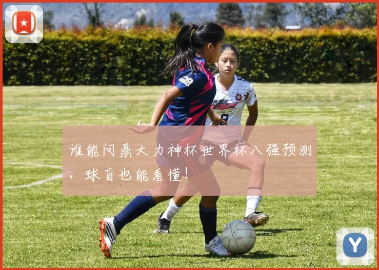谁能问鼎大力神杯世界杯八强预测，球盲也能看懂！