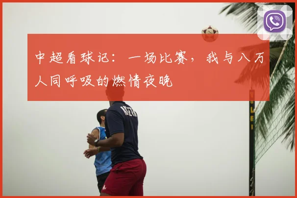 中超看球记:一场比赛,我与八万人同呼吸的燃情夜晚
