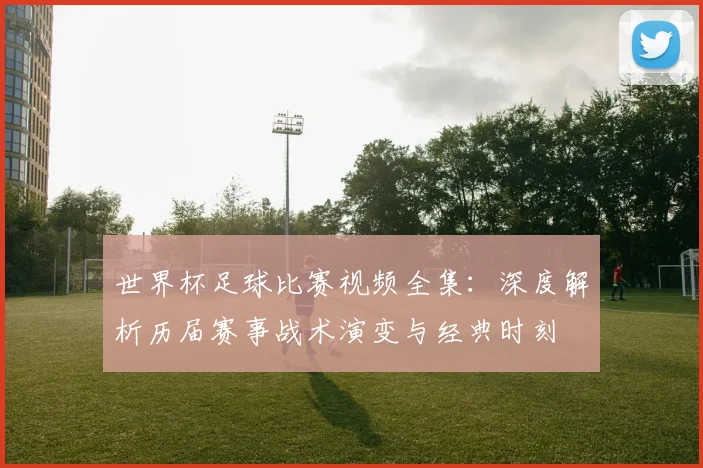 世界杯足球比赛视频全集：深度解析历届赛事战术演变与经典时刻